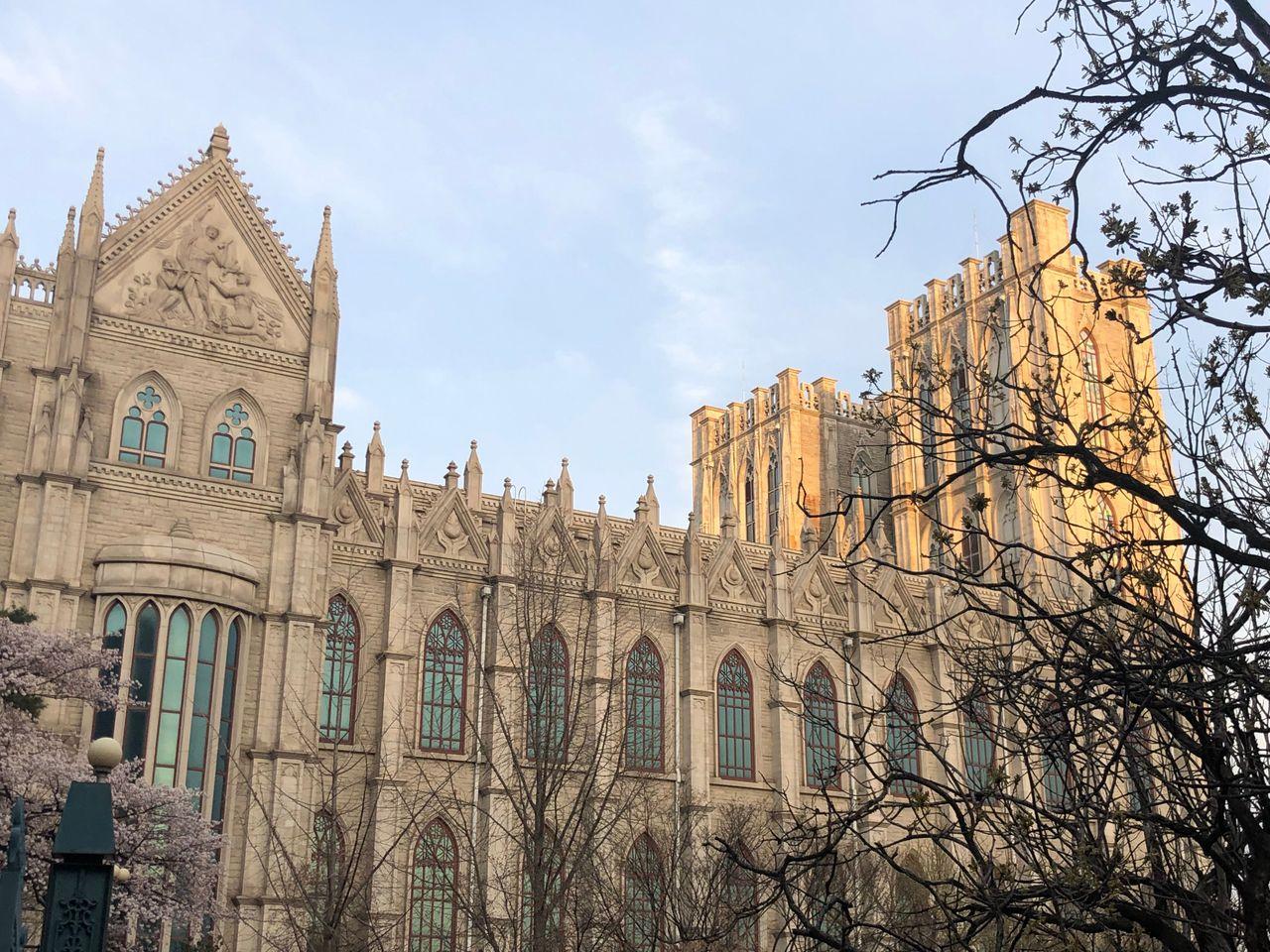 Take a walk on Kyung Hee campus with European architecture and cherry blossoms